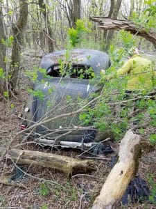 buggy in the woods